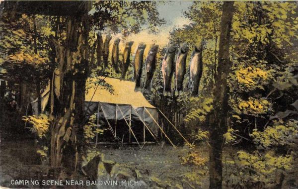 Baldwin Michigan Camping Scene Fishing Vintage Postcard J80237