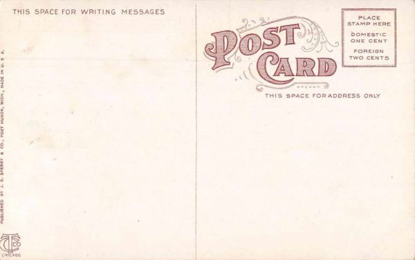 Port Huron Michigan First National Bank Exterior View Vintage Postcard J80257 - Image 2