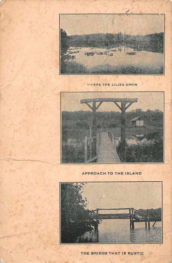 Selbysport Maryland ? Scenic View Bridge to Island Antique Postcard J80322