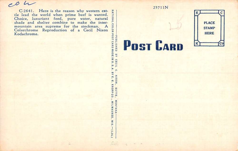Ronan Montana Cow Pasture Greeting Antique Postcard K105158 - Image 2