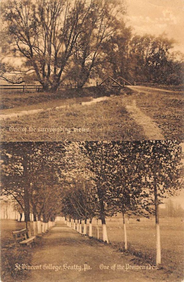 Beatty Pennsylvania Promenades Scenic Multiview Antique Postcard K105234