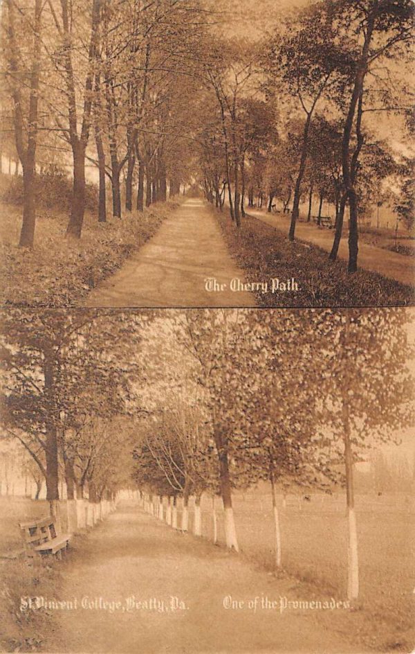 Beatty Pennsylvania Cherry Path Scenic Multiview Antique Postcard K105235