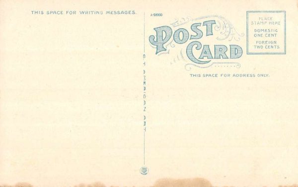 Red Wing Minnesota Birdseye View Of City Antique Postcard K105327 - Image 2