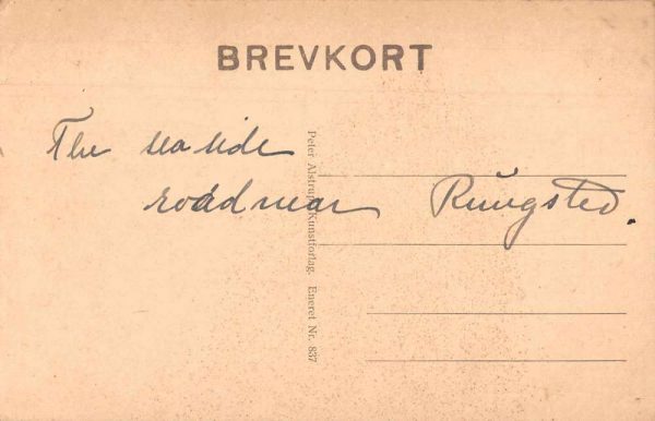 Rungsted Denmark Strandvejen Street Scene Antique Postcard J80685 - Image 2