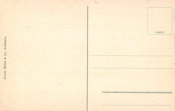Kristiania Norway Utsigt fra Slottet Antique Postcard J80749 - Image 2