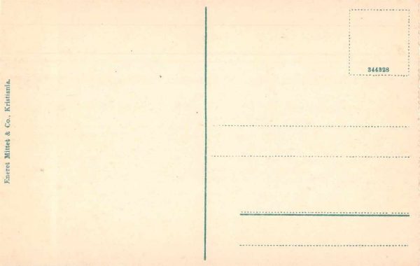 Kristiania Norway Utsigt fra Victoria Terrasse Antique Postcard J80750 - Image 2