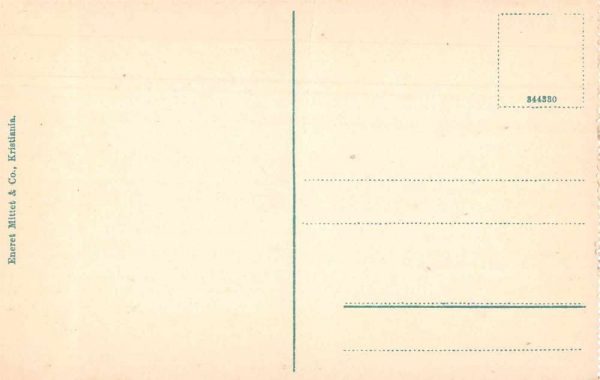 Kristiania Norway Slottet Scenic View Antique Postcard J80751 - Image 2