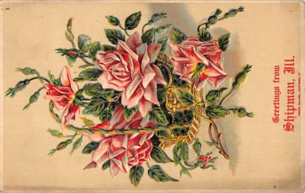 Shipman Illinois Rose Basket Greeting Antique Postcard K105752