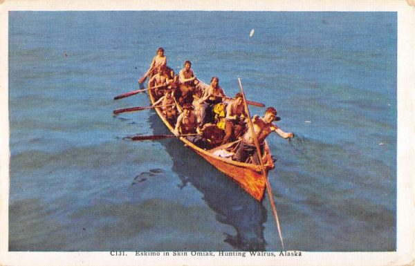 Alaska Eskimo In Skin Omiak Hunting Walrus Rowboat Antique Postcard K105860