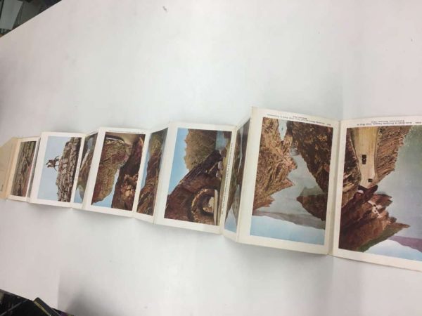 Cody Way Yellowstone Park Wyoming Souvenir Folder Antique Postcard K106234 - Image 3