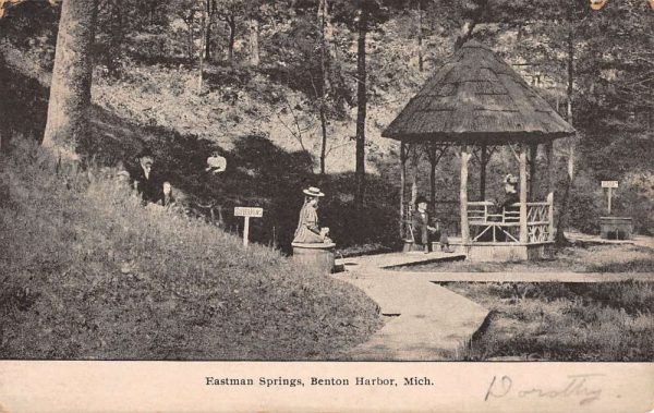 Benton Harbor Michigan Eastman Springs Private Mail Antique Postcard K106269
