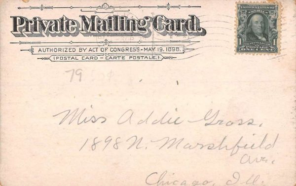 Benton Harbor Michigan Eastman Springs Private Mail Antique Postcard K106269 - Image 2