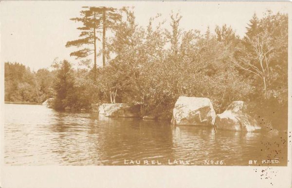 Laurel Lake Pennsylvania Scenic Waterfront Real Photo Antique Postcard K106315