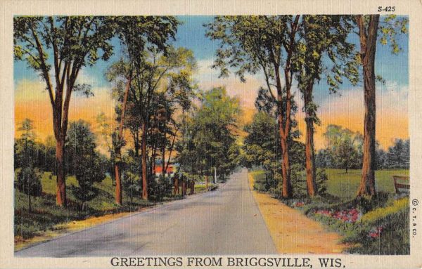 Briggsville Wisconsin Scenic Roadway Greeting Antique Postcard K106423