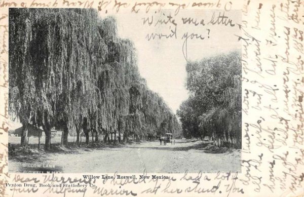 Roswell New Mexico Willow Lane Scenic View Antique Postcard K106513