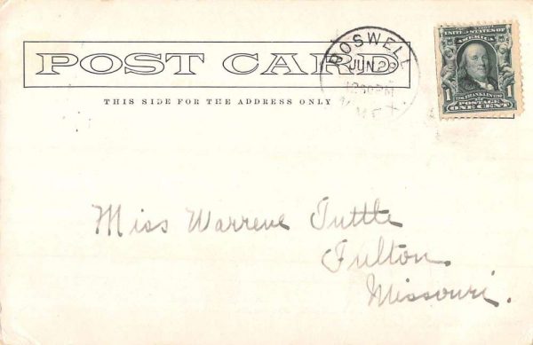 Roswell New Mexico Willow Lane Scenic View Antique Postcard K106513 - Image 2