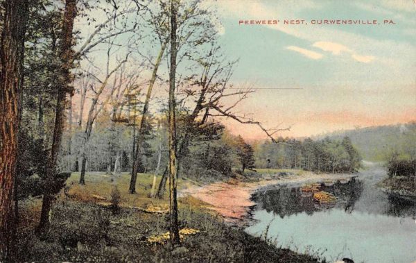 Curwensville Pennsylvania Peewees Nest Waterfront Antique Postcard K106534