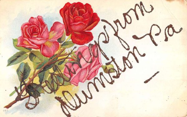 Munson Pennsylvania Rose Flower Greeting Antique Postcard K106577