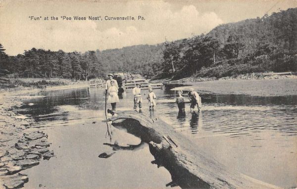 Curwensville Pennsylvania Pee Wees Nest Waterfront Antique Postcard K106642