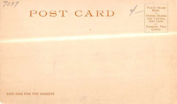 Jacksonville Florida Hemming Park Windsor Hotel Antique Postcard K106803 - Image 2