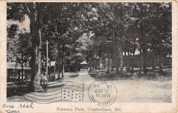 Cumberland Maryland Narrows Park Scenic View Antique Postcard K106861