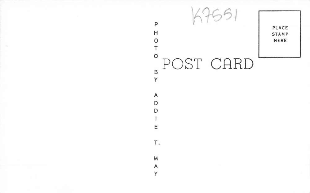 Agua Caliente Springs Park California Snow Scene Vintage Postcard K107001 - Image 2