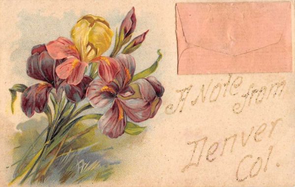Denver Colorado Note Letter Envelope Message Antique Postcard K107092