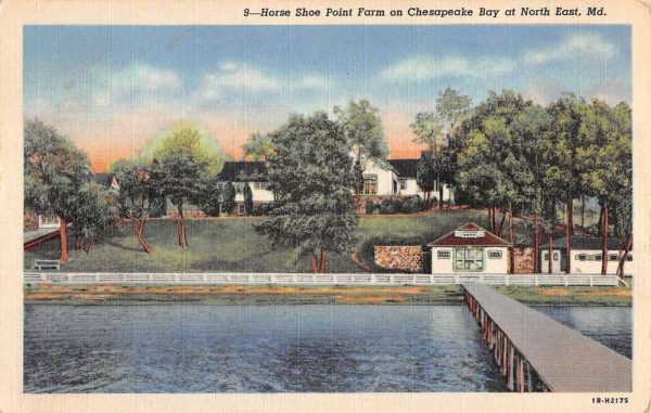 North East Maryland Horse Shoe Point Farm Waterfront Antique Postcard K107116