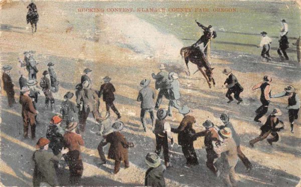 Klamath County Fair Oregon Bucking Contest Rodeo Cowboys Antique Postcard J81070