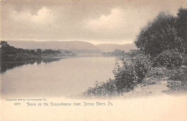 Jersey Shore Pennsylvania Susquehanna River Scenic View Antique Postcard J81076