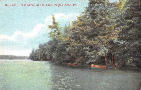 Eagles Mere Pennsylvania East Shore of the Lake Scenic View Postcard J81079