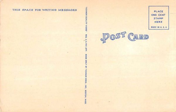 Blackstone Virginia College For Girls Street View Antique Postcard K107682 - Image 2