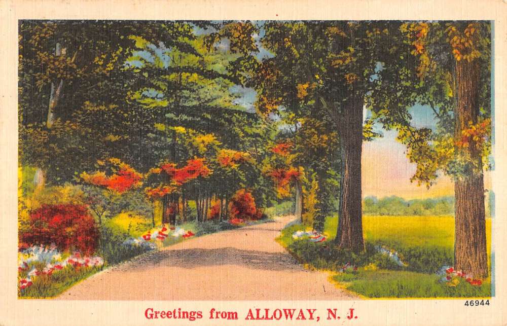 Alloway New Jersey Scenic Roadway Greeting Antique Postcard K107827