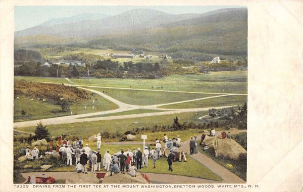 White Mountains New Hampshire Bretton Woods Gold Detroit Postcard K107979