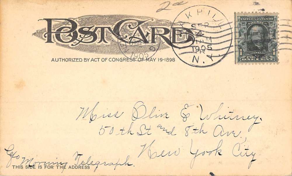 Mount Hermon Massachusetts Pines Scenic Roadway Antique Postcard K108001 - Image 2