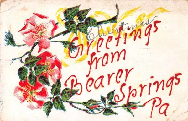 Bearer Springs Pennsylvania Greetings From red-pink flowers antique pc Z50996