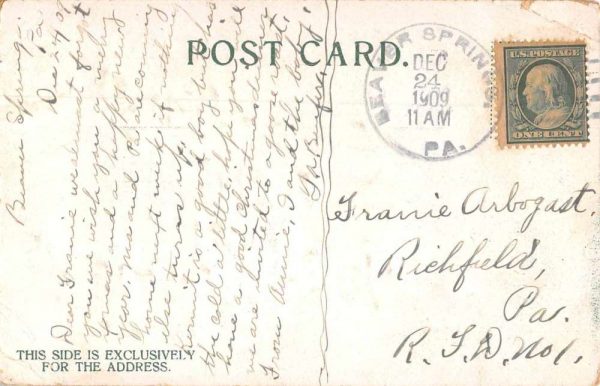 Bearer Springs Pennsylvania Greetings From red-pink flowers antique pc Z50996 - Image 2