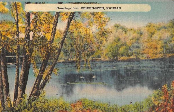 Kensington Kansas Greetings From view of ducks on lake linen antique pc Z51241
