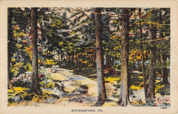 Royersford Pennsylvania Scenic Forest Roadway Antique Postcard KA688541