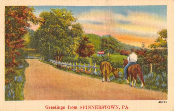 Spinnerstown Pennsylvania Horse Riding Roadway Antique Postcard KA688546