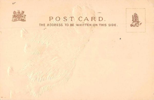 Dog St Bernard Embossed Tuck Vintage Postcard JC932618 - Image 2