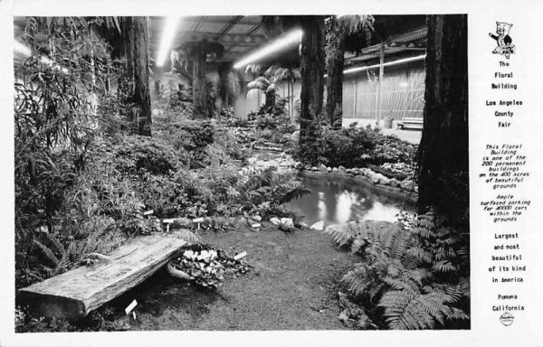 Pomona California Los Angeles Co Fair Floral Bldg Frasher Real Photo PC JC932993