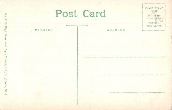 Hunting Shooting Seabirds amogst Artic Ice Vintage Postcard JE229034 - Image 2