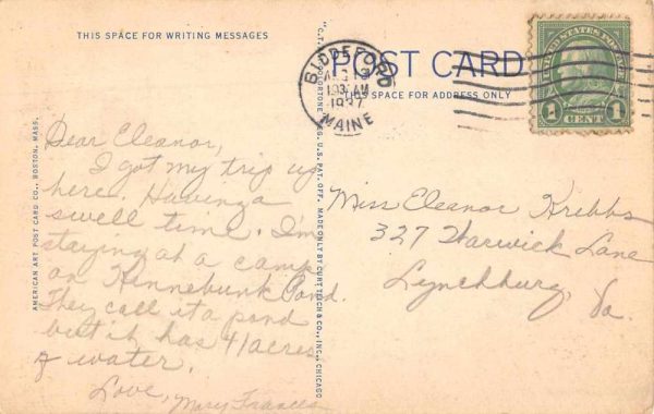Sourdnahunk Valley Maine Lily Pad Pond Canoeing Vintage Postcard JE229089 - Image 2