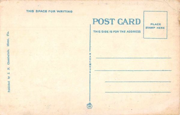 Hollywood Florida Hollywood Hotel Birds Eye View Vintage Postcard JE229125 - Image 2