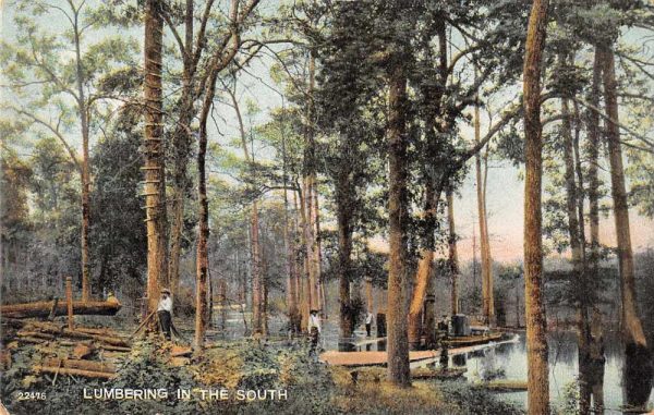 "Lumbering in the South" Logging Southern USA Scenic View Postcard JE229253