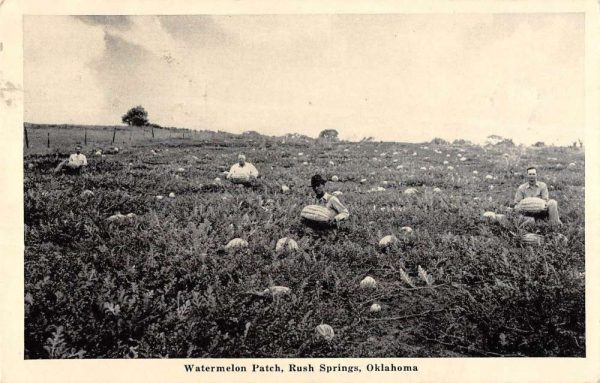 Rush Springs Oklahoma view of men in watermelon patch antique pc ZA440968