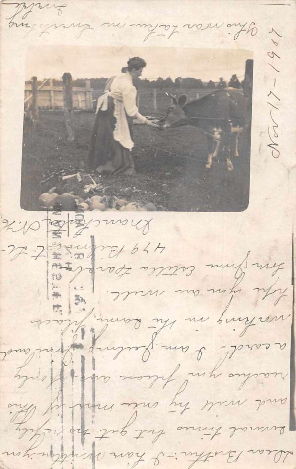Manchester New Hampshire Woman feeding Cow Real Photo Vintage Postcard JE229420