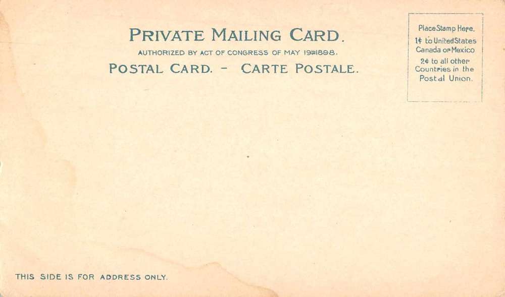 Saratoga New York Race Track Grand Stand Private Mail Postcard JE229425 - Image 2