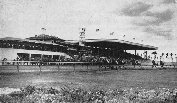 Coral Gables Florida Tropical Park Race Track Vintage Postcard JE229435
